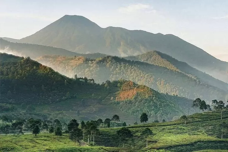 Kunjungi Tempat Wisata di Puncak: Liburan Seru di Pegunungan Jawa Barat