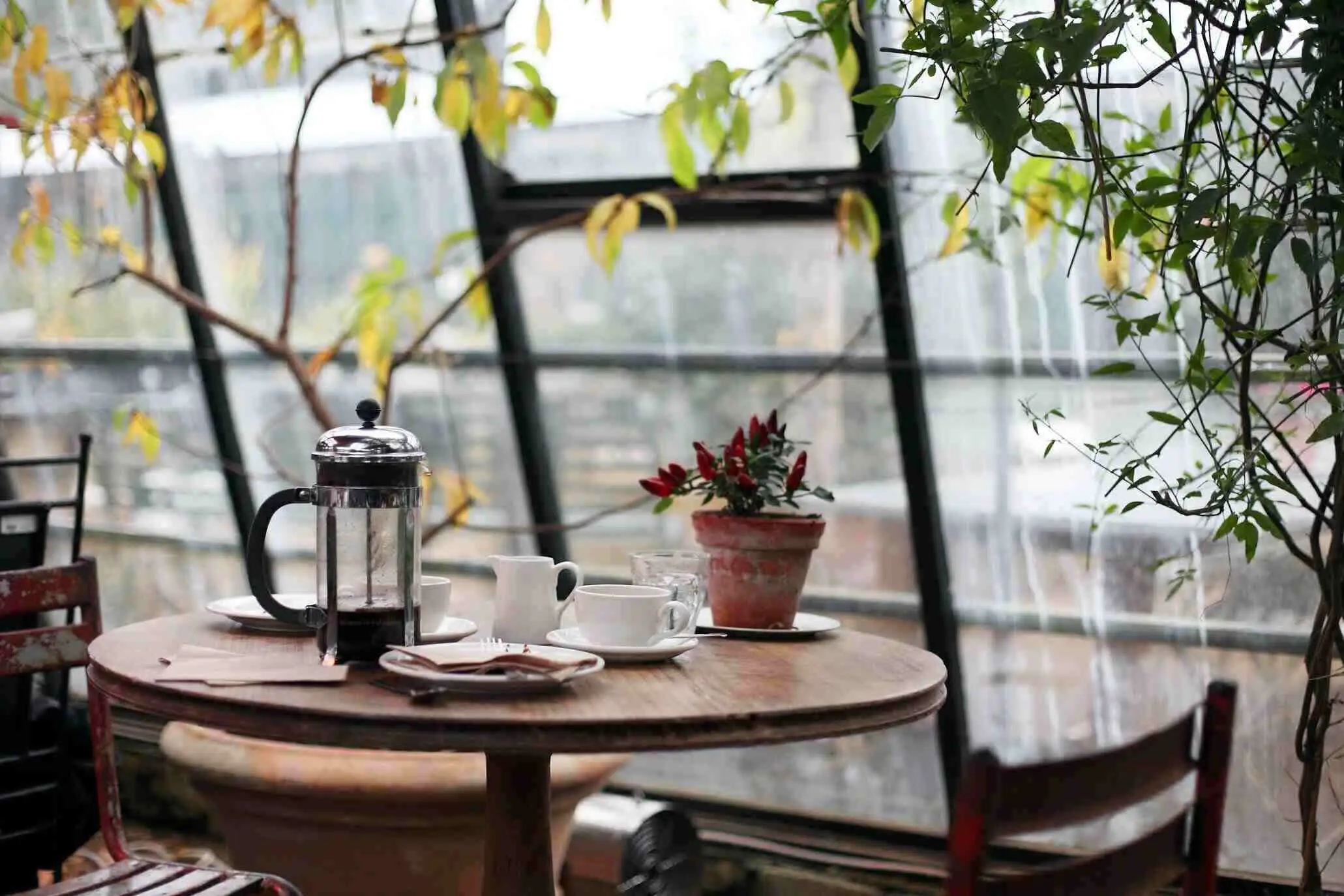 Cafe Aesthetic Terdekat di Jakarta: Pilihan Tempat Instagramable untuk Nongkrong
