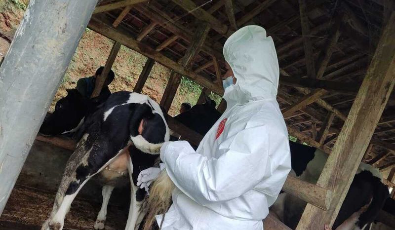 4 Penyakit Zoonosis yang Bisa Menyebabkan Kematian: Ancaman Nyata bagi Kesehatan Manusia